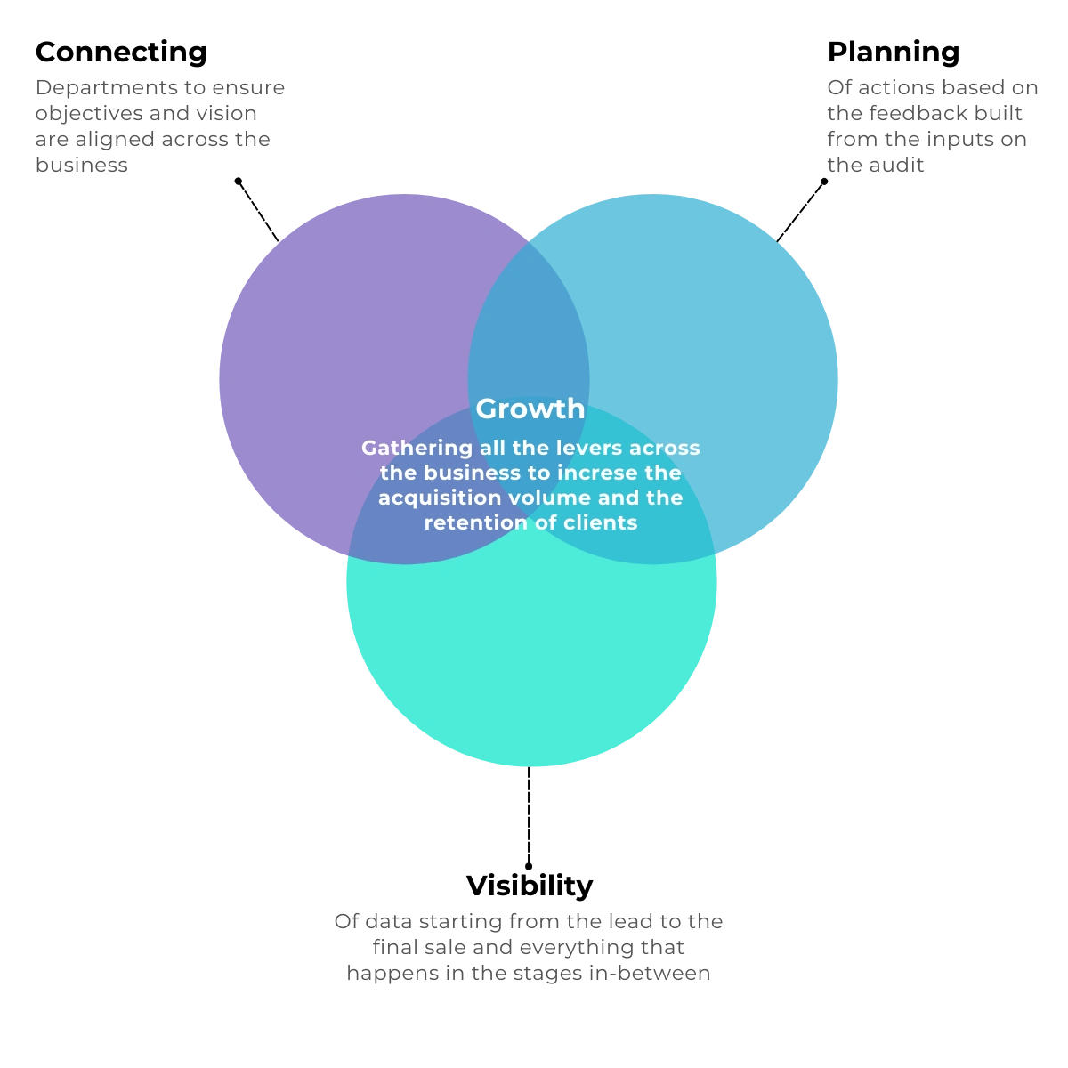 Growth consulting diagram: phases, channels and key metrics